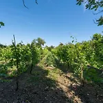 Vendégház Morea & In 3*